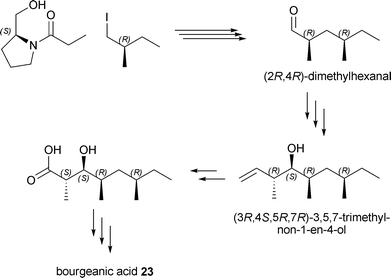 Outline of the stereoselective synthesis of 23.
