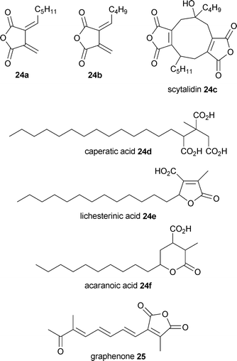 Compounds related to homoheveadride 24.