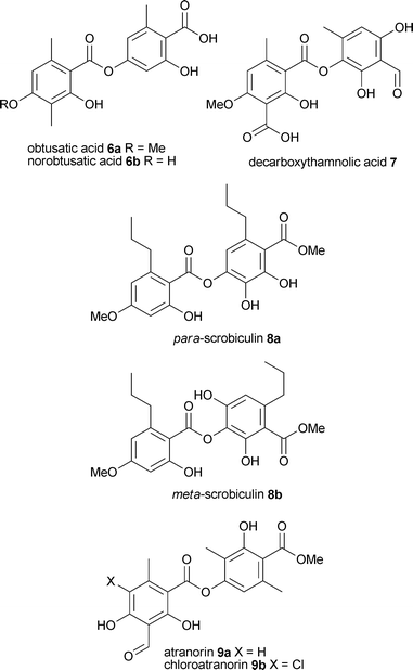 Structural variations in the orcinol para-depsides.