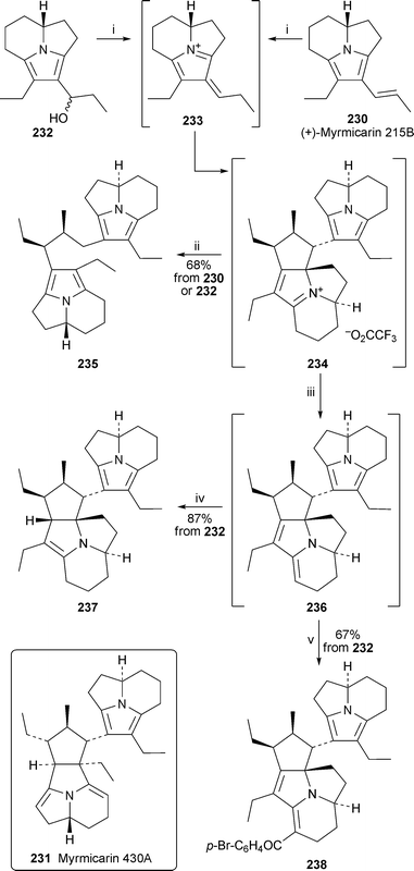 Reagents and conditions: i, 230 or 232 in C6D6 (0.02–0.04 M), TFA (1.1 equiv), 4.5 h, rt; ii, add NaBH(OAc)3, 3.5 h; iii, add resin-bound 2-tert-butylimino-2-diethylamino-1,3-dimethylperhydro-1,3,2-diazaphosphorine (10 equiv.), 30 min; iv, H2 (1 atm), 5% Pd/C, 35 min; v, 4-BrC6H4COCl, EtNPri2, 30 min.