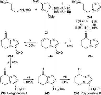 Reagents and conditions: i, NaOAc, H2O–AcOH–(ClCH2)2, 90 °C, 16 h; ii, PPA, rt, 16 h; iii, BBr3, CH2Cl2, 5 °C, 20 min; iv, DMF, POCl3, 0 °C, then add 242, PhMe, reflux, 3 h; v, aq. HClO4 (60%)–HCO2H (1 : 10), 80 °C, 1.5 h; vi, Zn(BH4)2, THF, −10 °C, 0.5 h; vii, Ac2O, py, 80 °C, 2 h; viii, EtOH, reflux, 2 d.