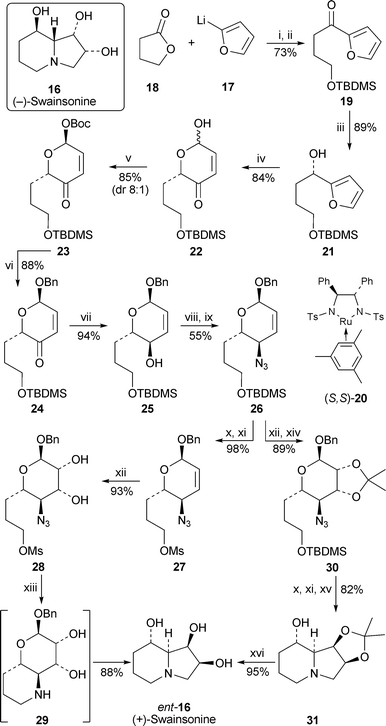 Reagents and conditions: i, THF, −78 °C, 5 h, then warm to rt; ii, TBDMSCl, imidazole, DMF, 0 °C, 20 min, then rt, overnight; iii, catalyst (S,S)-20 (5 mol%), HCO2H, NEt3, CH2Cl2, rt, 24 h; iv, NBS, NaHCO3, NaOAc, THF–H2O (4 : 1), 0 °C, 30 min; v, (Boc)2O, DMAP, CH2Cl2, −78 °C, 14 h; vi, BnOH, Pd2(dba)3·CHCl3 (2.5 mol%), PPh3 (5 mol%), CH2Cl2, 0 °C to rt, 2 h; vii, NaBH4, CH2Cl2–MeOH (1 : 1), −78 °C, 4 h; viii, ClCO2Me, DMAP, py, CH2Cl2, rt, 24 h; ix, [Pd(allyl)Cl]2-dppb (1 : 4), Me3SiN3, THF, 50 °C, 24 h; x, Bu4NF, THF, rt, 12 h; xi, MeSO2Cl, NEt3, CH2Cl2, 0 °C, 30 min; xii, OsO4 (1 mol%), NMO, ButOH–Me2CO (1 : 1), 0 °C, 24 h; xiii, H2 (100 psi), Pd(OH)2/C, EtOH, rt, 3 d; xiv, Me2C(OMe)2, p-TsOH, Me2CO, 0 °C, 30 min; xv, H2 (100 psi), Pd(OH)2/C, EtOH–THF (1 : 1), rt, 4 d; xvi, HCl (6 M), THF, rt, overnight, then ion exchange (Dowex 1X8 200 OH−).