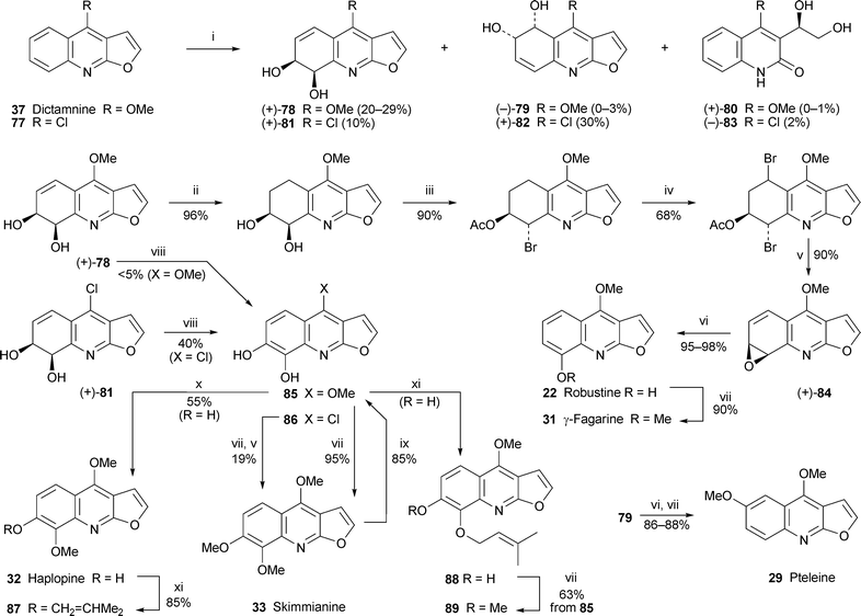 
            Reagents and conditions: i, Sphingomonas yanoikuyae B8/36, O2; ii, H2, Pd/C; iii, AcOCMe2COBr, MeCN; iv, NBS, CCl4; v, NaOMe; vi, TFA; vii; CH2N2; viii, Escherichia coli nar B; ix, BBr3; x, CH2N2, short time (60 s); xi, ClCH2CHCMe2, K2CO3.