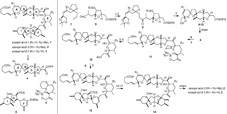 The Nicolaou synthesis of azapiracid-2 and -3. Reagents and conditions: (1) tBuLi (2 eq.), 7 (1 eq.), Et2O, −78 °C; then 8; (2) Dess–Martin periodinane (1.2 eq.), NaHCO3, CH2Cl2, 81% (over 2 steps) for 9 (R1 = Me), 74% (over 2 steps) for 9 (R1 = H); (3) TMSOTf, CH2Cl2, −90 °C, 72% for 10 (R1 = Me), 65% for 10 (R1 = H); (4) 6, (6 eq.), nBuLi/nBu2Mg, THF, 25 °C, then −90 °C, then 4, TBAF, 65% for 11 (R1 = Me), 74% for 11 (R1 = H); (5) DIBAL-H, CH2Cl2, −90 °C; (6) TBAF, THF, 25 °C; (7) AcCl, 2,4,6-collidine, CH2Cl2, −78 °C; (8) PhI(OCOCF3)2, MeCN–pH 7 buffer (4 : 1), 0 °C, 38% (over 4 steps) for 12 (R1 = Me), 32% (over 4 steps) for 12 (R1 = H); (9) 5 (2 eq.), [Pd2(dba)3] (0.3 eq.), AsPh3 (0.3 eq.), LiCl (6 eq.), iPr2NEt (10 eq.), DMF, 25 °C, 80% for 13 (R1 = Me), 69% for 13 (R1 = H); (10) TBAF, THF, 0 °C; (11) NIS (2 eq.), NaHCO3, DMF, 0 °C; 48% for 14 (R1 = Me), 51% for 14 (R1 = H).