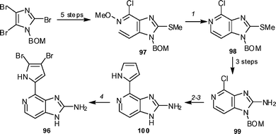 The Meketa and Weinreb synthesis of ageladine A 96. Reagents and conditions: (1) o-xylene, 150 °C (84%); (2) Pd2(dba)3, N-Boc-pyrrole boronic acid, biphenyl-PCy2, K3PO4, 1,4-dioxane, 80 °C, µW; (3) 6 N HCl, EtOH, reflux (67% yield for the two steps); (4) Br2, AcOH, MeOH, 0 °C (17%, 29% brsm).