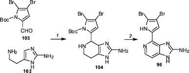 The Shengule and Karuso synthesis of ageladine A 96. Reagents and conditions: (1) Sc(OTf)3, EtOH, 23 °C (44%); (2) chloranil, CHCl3, 80 °C (65%).