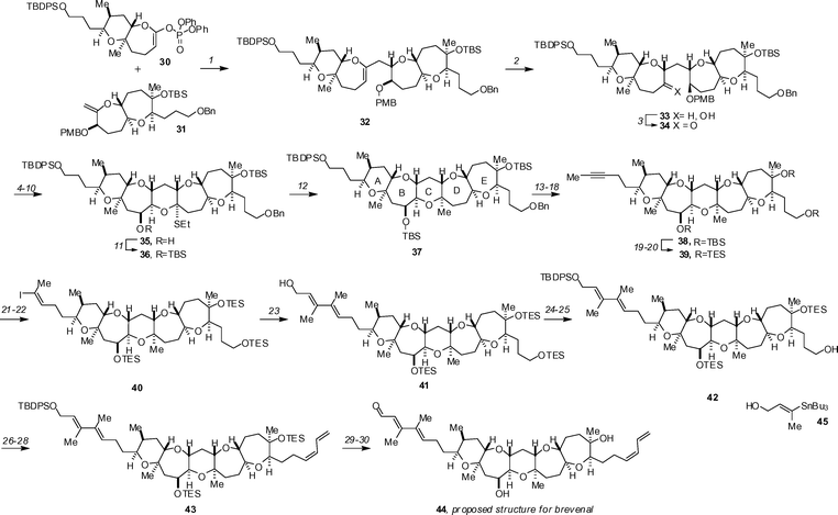 The Sasaki synthesis of the proposed structure of brevenal. Reagents and conditions: (1) 9-BBN, THF, rt; then 3 M aq. Cs2CO3, Pd(PPh3)4, DMF, 50 °C; (2) BH3·SMe2, THF, 0 °C to rt; then aq. NaHCO3, H2O2, 0 °C to rt, 84% (two steps); (3) TPAP, NMO, 4 Å MS, CH2Cl2, 0 °C, 98%; (4) LHMDS, TMSCl, Et3N, THF, −78 °C; (5) OsO4, NMO, THF–H2O, rt, 87% (two steps); (6) DIBALH, THF, −78 °C, 76%; (7) TESOTf, Et3N, CH2Cl2, 0 °C; (8) DDQ, CH2Cl2–pH 7 buffer, rt; (9) TPAP, NMO, 4 Å MS, CH2Cl2, 0 °C, 88% (three steps); (10) EtSH, Zn(OTf)2, THF, rt, 79%; (11) TBSOTf, Et3N, CH2Cl2, 0 °C, 97%; (12) MCPBA, CH2Cl2, −78 °C; then AlMe3, −78 to 0 °C, 92%; (13) LiDBB, THF, −78 °C, 99%; (14) TBSOTf, Et3N, CH2Cl2, 0 °C, 98%; (15) TBAF, AcOH, THF, rt, 78% after three recycles; (16) Dess–Martin periodinane, CH2Cl2, rt; (17) Ohira–Bestmann reagent, K2CO3, MeOH, rt; (18) nBuLi, THF–HMPA, −78 °C; then MeI, rt, 99% (three steps); (19) HF·Py, THF, 0 °C to rt, 96%; (20) TESOTf, Et3N, CH2Cl2, 0 °C, 99%; (21) PhMe2SiLi, CuCN, THF, −78 to 0 °C; (22) NIS, CH3CN–THF, 0 °C to rt, 99% (two steps); (23) 45, Pd2(dba)3, Ph3As, CuTC, 1 : 1 DMSO–THF, rt, 63%; (24) TBDPSCl, imidazole, DMF, 0 °C; (25) PPTS, 4 : 1 CH2Cl2–MeOH, 0 °C, 74% (two steps); (26) SO3·Py, Et3N, DMSO–CH2Cl2, 0 °C; (27) Ph3PCH2CH2CH2SePhBr, nBuLi, THF–HMPA, −78 °C to rt, 97% (two steps); (28) H2O2, NaHCO3, THF, rt, 77%; (29) TASF, DMF–THF, 0 C to rt, 79%; (30) MnO2, CH2Cl2, rt, quant.