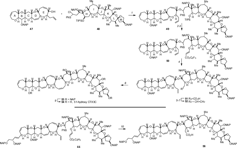 The key reactions of the Inoue–Hirama synthesis of 51-hydroxyciguatoxin (top) and the key radical cyclization en route to ciguatoxin (bottom). Reagents and conditions: (1) 47 (1.0 eq.), 48 (1.3 eq.), AgOTf (2.5 eq.), di-tert-butylmethylpyridine (5.0 eq.), 4 Å MS, CH2Cl2–CCl4, −70 to 0 °C, 70% from 47; (2) TBAF, THF, 35 °C, 100%; (3) pentafluorophenyl propiolate, PMe3, CH2Cl2, rt, 95%; (4) nBu3SnH, AIBN, PhMe, 85 °C, 74%; (5) TMSCHN2, MeOH–PhH, rt, 87%; (6) DIBAL, CH2Cl2, −90 °C; (7) Ph3PCH3Br, tBuOK, THF, 0 °C, 98% (2 steps); (8) Grubbs I catalyst (20 mol%), CH2Cl2, 40 °C, 93%; (9) DDQ (10 eq.), CH2Cl2–H2O (2 : 1), rt, 59%; (10) nBu3SnH, AIBN, PhMe, 85 °C, 59%.