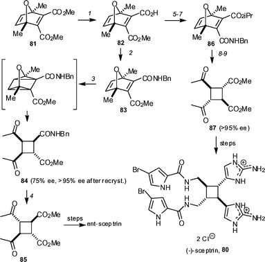 The Baran synthesis of (+)- and (−)-sceptrin 80. Reagents and conditions: (1) pig liver esterase (50 unit mmol−1), acetone–phosphate buffer (pH 8), 23 °C, 1 week (100%, 75% ee); (2) BnNH2, DMT-MM, THF (92%), (3) hν, THF, 72 h, then H2SO4, THF–MeOH (1 : 1) (50%, 75% ee, >95% ee after recrystallization); (4) TsOH, MeOH, PhMe, 105 °C, sealed tube (90%); (5) DMT-MM, iPrOH, DMAP, 55 °C; (6) LiOH, THF–H2O (1 : 1); (7) BnNH2, DMT-MM, THF (80% over three steps); (8) hν, THF, 72 h, then H2SO4, THF–MeOH (1 : 1) (45–50%, 75% ee, >95% ee after recrystallization); (9) TsOH, MeOH, PhMe, 105 °C, sealed tube (50%). DMT-MM = 4-(4,6-dimethoxy-1,3,5-triazin-2-yl)-4-methylmorpholinium chloride.