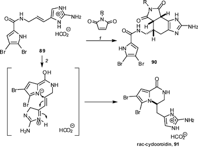 The Lindel synthesis of rac-cyclooroidin. Reagents and conditions: (1) 20 mol% Y(OTf)3, MeOH, 40 °C (R = Ph, 45%; R = H, 54%); (2) H2O–EtOH (4 : 1), 95 °C, sealed tube (93%).