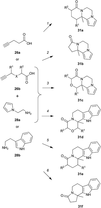 Dixon's Au(i)-catalysed cascade. Reagents and conditions: (1) AuPPh3Cl/AgOTf (1%), 26b, 28a, toluene, rt, 3 h, then reflux, 2 d, d.r. 2 : 1, 81% [R1 = H, R2 = CH2Ph, X = CH2]; (2) AuPPh3Cl/AgOTf (1%), 26a, 28a, toluene, rt, 3 h then reflux, 1 d, 91%; (3) AuPPh3Cl/AgOTf (1%), 26b, 28a, toluene, 75 °C, then reflux 1 d, d.r. 3 : 1, 64% [R1 = H, R2 = Me, X = O]; (4) AuPPh3Cl/AgOTf (1%), 26b, 28b, xylene, 75 °C, 3 h, then 125 °C, 1 d, d.r. 1 : 5 : 1, 97%, [R1 = n-pentyl, R2 = H, X = O]; (5) AuPPh3Cl/AgOTf (1%), 26b, 28b, toluene, 75 °C, 3 h, then reflux, 2 d, d.r. 1 : 1 : 5, 82%, [R1 = H, R2 = CH2Ph, X = CH2]; (6) AuPPh3Cl/AgOTf (1%), 26a, 28b, toluene, 75 C, 3 h, reflux, 1 d, 87%.