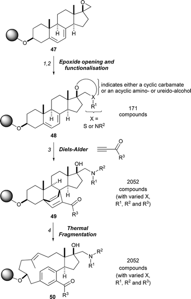 An overview of the skeletal transformations applied by Schreiber in the preparation of >4000 skeletally diverse small molecules. Reagents and conditions: (1) amine, LiClO4 (or thiol); (2) alkylation, acylation or oxazolidone formation [for X = NR2]; (3) R3COC≡CH, Et2AlCl; (4) heat.