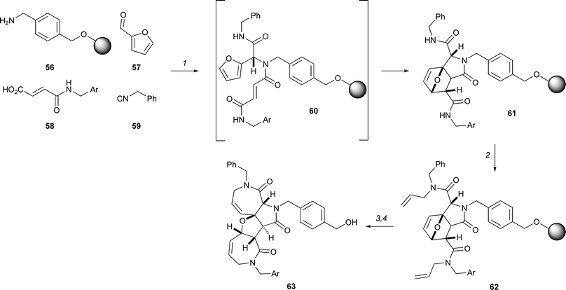 Schreiber's exploitation of the Ugi and Diels–Alder reactions and metathesis chemistry in combination. Reagents and conditions: (1) MeOH–THF, (2 : 1), 60 h; (2) KHMDS, allyl bromide; (3) Grubbs' 2nd-gen. cat., CH2Cl2, 40 °C, 60 h; (4) HF·pyridine, CH2Cl2, 2 h. Ar = m-bromophenyl.