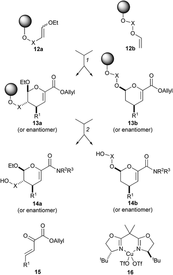 Schreiber's synthesis of dihydropyrans with high substitutional and stereochemical diversity. Reagents and conditions: (1) 15 or 20 mol% 16 (or enantiomer), THF, rt; (2) (i) Pd(PPh3)4, thiosalicylic acid, THF, rt; (ii) R2R3NH, PyBOP, iPr2NEt, CH2Cl2–DMF, rt; (iii) HF·pyridine, THF, rt, then Me3SiOMe.