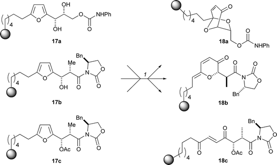 Schreiber's approach to pre-encoding skeletal information using the Achmatowicz reaction. Reagents and conditions: (1) N-bromosuccinimide, NaHCO3, NaOAc, THF–H2O (4 : 1), rt, 1 h; PPTS, CH2Cl2, 40–45 °C, 20 h.