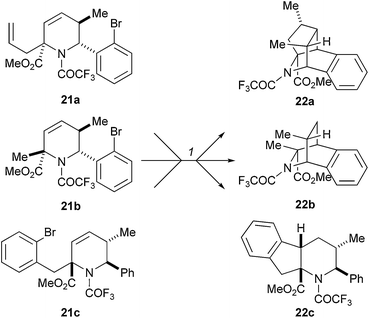 Panek and Porco's folding pathway using functionalised tetrahydropyridines. Reagents and conditions: (1) AIBN, Bu3SnH, 80 °C, 4 h, benzene, 22a: 65%; 22b: 89%; 22c: 81%.