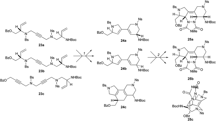 Oligomer-based approach to skeletal diversity employing metathesis cascades and Diels–Alder reactions as folding processes. Reagents and conditions: (1) Grubbs' first-generation catalyst (5 mol%), benzene, ethylene, reflux, 12–24 h; 24a: d.r. >20 : 1, 57%; 24b: d.r. >15 : 1, 74%; 24c: d.r. >20 : 1, 56%; (2) 4-methyl-1,2,4-triazoline-3,5-dione, CH2Cl2, 0 °C to rt.; 25a: 93%; 25b: 90%; 25c: 46%. Ns = 2-nitrobenzenesulfonyl, Bs = 4-bromobenzenesulfonyl.
