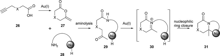 Outline of Dixon's approach for the synthesis of skeletally diverse, bicyclic heterocycles. X = O or CH2.