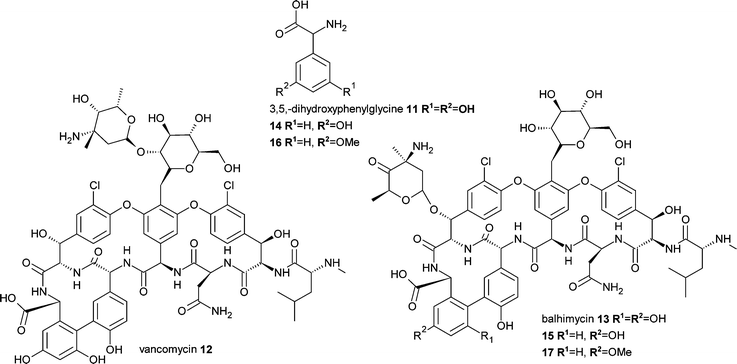 Mutasynthesis of glycopeptide antibiotics.