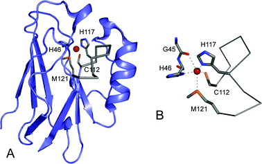 align peptide backbone in pymol