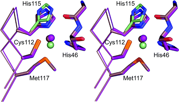 Overlay (prepared in Pymol) of the active site structures of the Cu(i) form of AZAMI-F at pH 8 (2FT8,86 pale pink) and pH 6 (2FT7,86 purple). The second conformations of the copper ion and His115 at pH 6 are colored pale green.