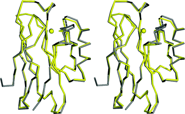 Overlay (prepared with Pymol) of the Cα traces, and the copper ions, of AZ (4AZU,14 chain A, grey) and AZAMI (2FTA,86 chain A, yellow).