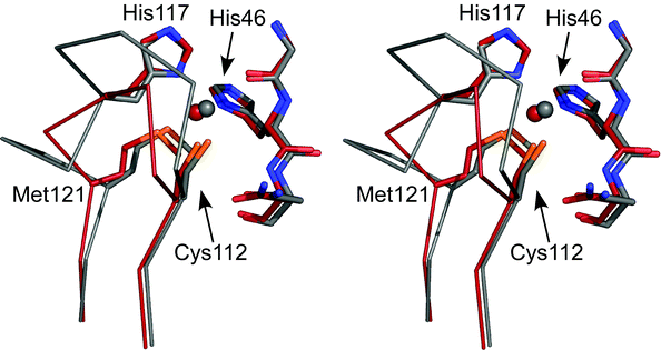 Stereoview (prepared with Pymol) showing an overlay of the active sites of Cu(ii) AZAMI-F (2FT6,86 brick red) and AZ (4AZU,14 chain A, gray). The side chains of the coordinating residues (labeled as in AZ) and the amino acids on either side of the N-terminal His ligand are shown as stick models, copper atoms as spheres, and the backbone of the C-terminal ligand-containing loops as Cα traces.