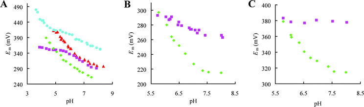 Dependence on pH of the reduction potential (Em) of various loop contraction variants. (A) AZ (■), AZAMI (✦), AZAMI-F (▲) and AZPC (●). (B) PAZ (■) and PAZAMI (✦). (C) PC (■) and PCAMI (✦). As the pH is lowered some of the proteins exhibit a marked increase in Em with a slope of about −60 mV per pH unit. This is due to protonation of the C-terminal His ligand in the Cu(i) protein, and the data can be fit (not shown) giving pKa values of 6.7, 6.7, 5.9, 5.5 and 4.3 for Cu(i) PAZAMI, PCAMI, AZAMI-F, AZAMI and AZPC respectively.83,84,86,87 The assessment of the influence of a particular loop mutation on Em is made from comparisons at pH 7.5–8.0 where the values are generally less dependent on pH.