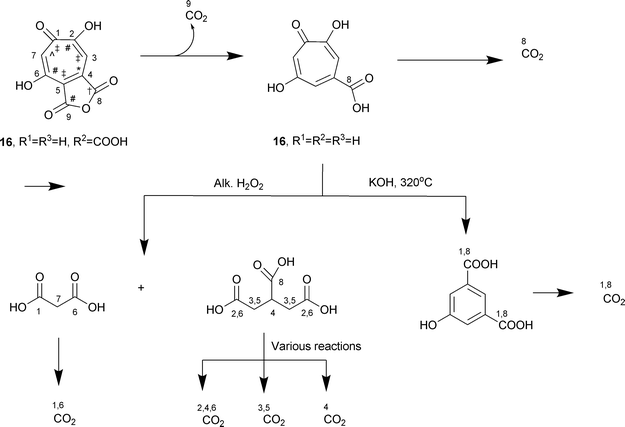 Chemical degradation of stipitatonic and stipitatic acids. For acetate, CH3 = † and COOH = *; for malonate, CH2 = ‡ and COOH = #; one carbon unit from S-adenosylmethionine = ⁁.