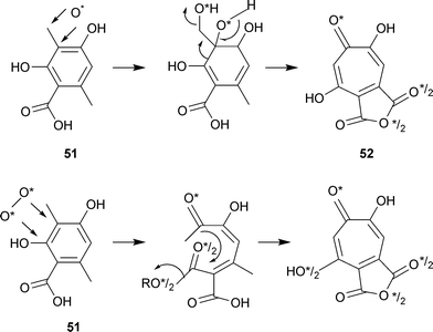 Ring enlargement of 3-methylorsellinic acid. Monooxygenase mechanism, top line. Dioxygenase mechanism, bottom line.