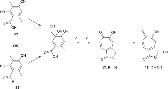 Formation of stipitalide, 17 R = H and stipitaldehydic acid, 17 R = OH.