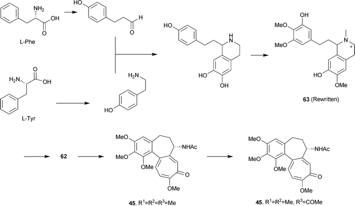 Biosynthesis of colchicine.