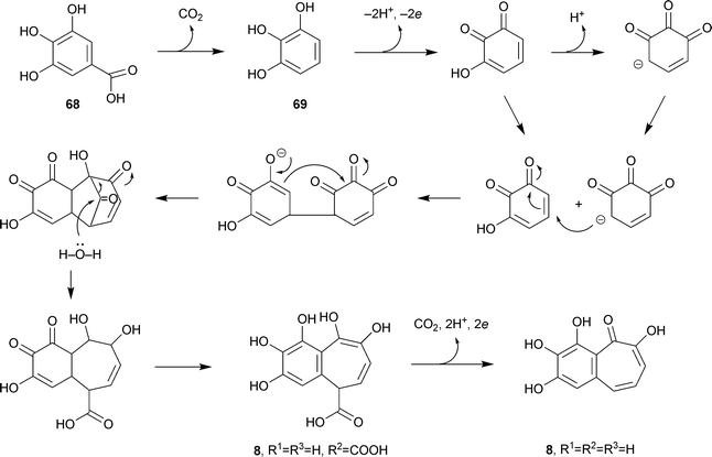 Biosynthesis of purpurogallin.