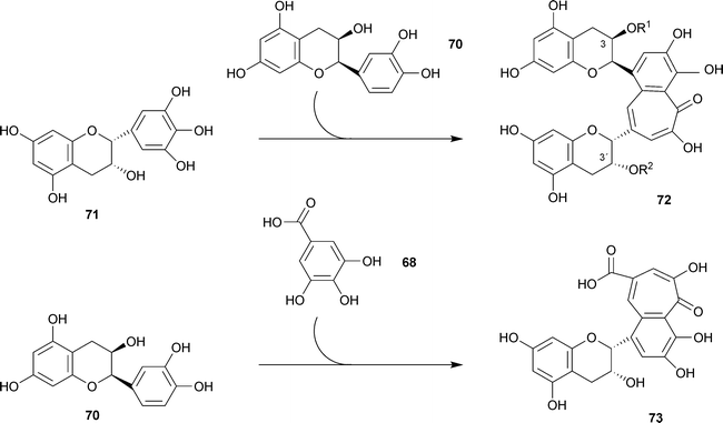 Biosynthesis of theaflavin 72 R1 = R2 = H and epitheaflavic acid 73.