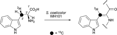 scheme, filename = b719710c-s2.gif