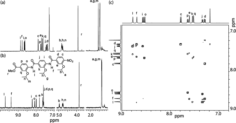 
            1H NMR spectrum (500 MHz) of trimer 8aaa (a) 3 mM in CDCl3 and (b) 2 mM in DMSO-d6 (c) 1H–1H NOESY spectrum of trimer 8aaa in CDCl3.