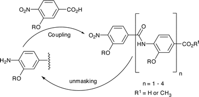 Iterative synthetic strategy for construction of aromatic oligoamide rods.