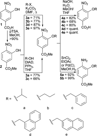 Synthesis of monomers for iterative synthesis of aromatic oligoamide rods.