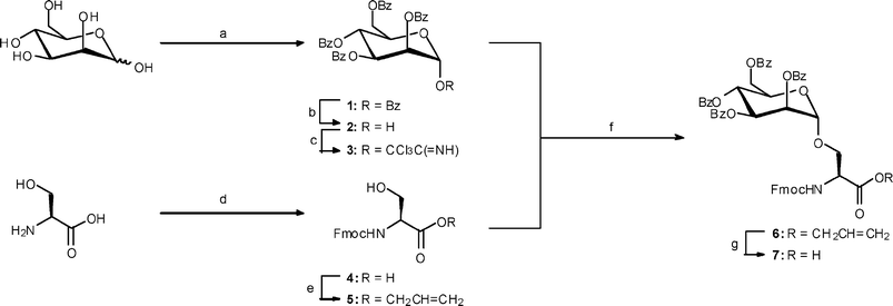 
            Reagents and conditions: (a) BzCl, py, 66%; (b) ethanolamine, THF, 54%; (c) K2CO3, Cl3CCN, CH2Cl2, 94%; (d) Fmoc-OSu, Na2CO3, dioxane, 97%; (e) CH2CHCH2Br, NaHCO3, Aliquot 336, H2O, CH2Cl2, 24 h, 87%; (f) SiMe3OTf (20%), CH2Cl2, –40 °C, 3 h, 71%; (g) Pd(PPh3)4, PhSiH3, CH2Cl2, 1.5 h, 70%.