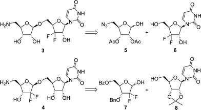 Retrosynthetic analysis of target molecules 3 and 4.