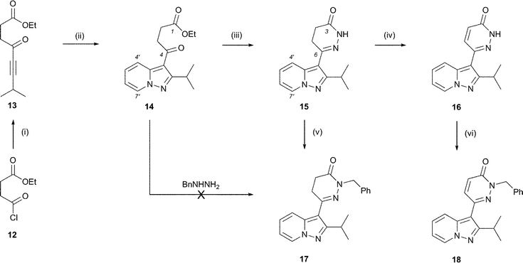 
          Reagents and conditions: (i) (3-methylbut-1-ynyl)magnesium bromide, THF–Et2O, 0 °C, 48%; (ii) N-aminopyridinium mesitylenesulfonate, K2CO3, DMF, 0 °C–rt, 56%; (iii) N2H4, AcOH (aq.), EtOH, Δ, 92%; (iv) Br2 in AcOH, Δ, 73%; (v) NaH, BnBr, DMF, rt, 70%; (vi) Cs2CO3, BnBr, DMF, rt, 78%.