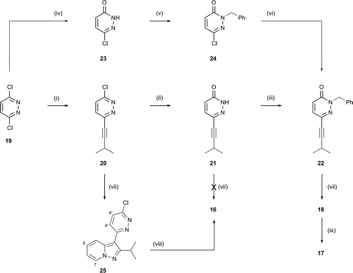 
          Reagents and conditions: (i) 3-methyl-1-butyne (0.5 equiv.), (i-Pr)2NH, Bu4NI, CuI, Pd(PPh3)4, THF, 90 °C (sealed vessel), 53%; (ii) AcOH, NaOAc (aq.), reflux, 87%; (iii) K2CO3, BnBr, DMF, rt, 82%; (iv) AcOH, Δ, 95%; (v) Cs2CO3, BnBr, DMF, rt, 78%; (vi) 3-methyl-1-butyne, (i-Pr)2NH, Bu4NI, CuI, Pd(PPh3)4, THF, 80 °C (sealed vessel), 83%; (vii) N-aminopyridinium mesitylenesulfonate (2–3 equiv.), K2CO3, DMF, 120 °C; 25, 20%; 16, intractable mixture formed; 18, 26%; (viii) AcOH, NaOAc (aq), Δ, 80%; (ix) Zn, AcOH, Δ, 56%.
