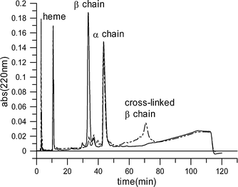 C-4 Reverse-phase HPLC analysis of modified hemoglobin globin chains (dashed line) compared with globin chains in the native protein (solid line).