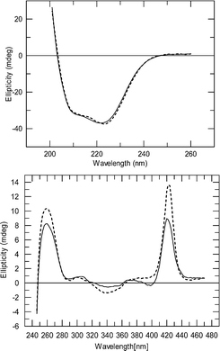CD spectra of native hemoglobin (dashed line) and cross-linked dendritic-hemoglobin (solid line) in the CO-bound state. The far UV region (upper) was recorded at low concentration and shows the protein spectrum. The UV–visible region (lower) was recorded at high concentration and shows the heme spectrum.
