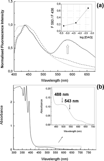 (a) Fluorescence spectra after addition of NO gas to varying concentrations of DAQ in DMSO: 5 µM (⋯), 50 µM (), 500 µM (). Excitation wavelength = 350 nm. Inset: intensity ratios at 580 and 436 nm vs.DAQ concentration. (b) Absorption spectrum of DAQ (500 µM) in DMSO after reaction with gaseous NO.