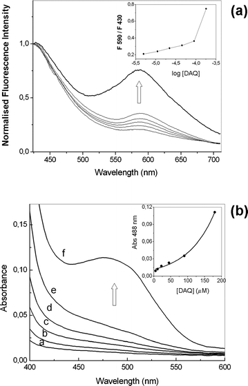 (a) Fluorescence spectra after addition of NO gas to varying concentrations of DAQ in THF (5–180 µM). Excitation wavelength = 350 nm. Inset: intensity ratios at 590 and 430 nm vs.DAQ concentration. (b) Absorption spectrum of DAQ in THF (a = 5, b = 10, c = 20, d = 45, e = 90, f = 180 µM) after reaction with gaseous NO. Inset: absorbance intensity at 488 nm vs. concentration of probe.