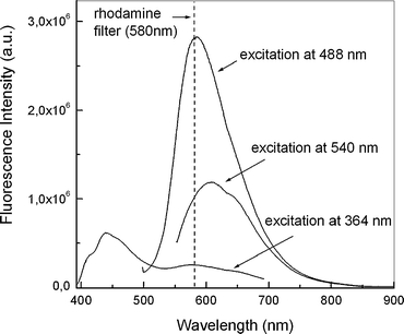 Effect of excitation wavelength on the fluorescence. Addition of NO gas to DAQ (500 µM) in DMSO. The cut-off of the rhodamine filter is shown to illustrate the emission eliminated with its use.