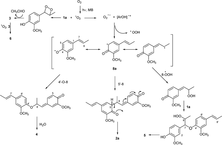Suggested pathways for compounds 2a–6 under methylene blue (MB)-sensitized photooxygenation.