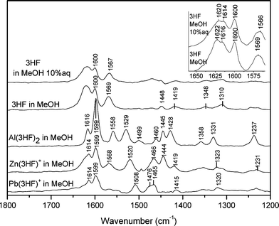 From top to the bottom: FT-Raman spectra of free 3HF in MeOH 50%aq, free 3HF in MeOH, Al(3HF)2+ in MeOH, Zn(3HF)+ in MeOH, Pb(3HF)+ in MeOH. Spectral resolution: 4 cm–1. In the top right part of the figure, FT-Raman spectra at higher resolution (2 cm–1) for 3HF in MeOH and MeOH 10%aq are reported.