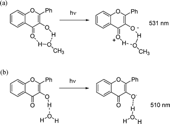 Proposed interaction of 3HF with methanol and water molecules, as proposed in ref. 14 and 18.